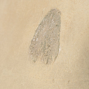 Moderne canvasprints met organische lijnen in het "Sandweg"-frame.