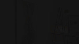 Schilderij met lijst kopen – Handgemaakt in Duitsland, gratis verzending & 3D-visualisatie